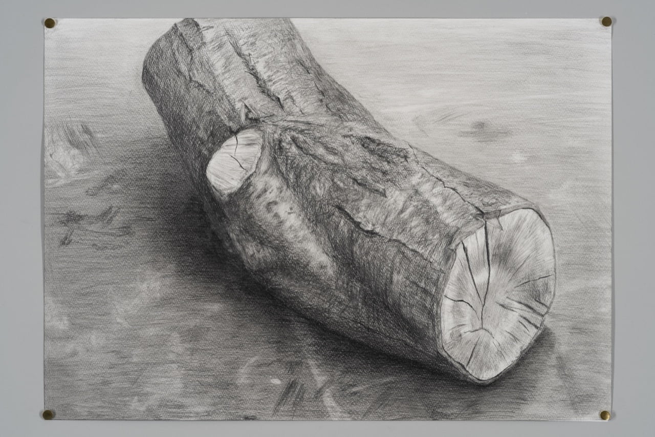 武蔵野美術大学 共通絵画研究室